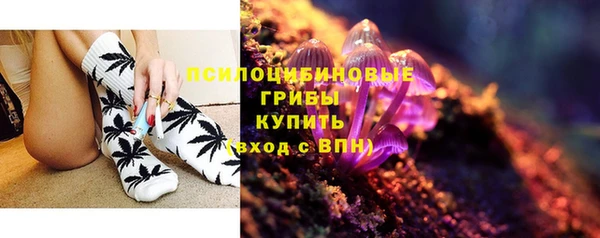гашик Рославль